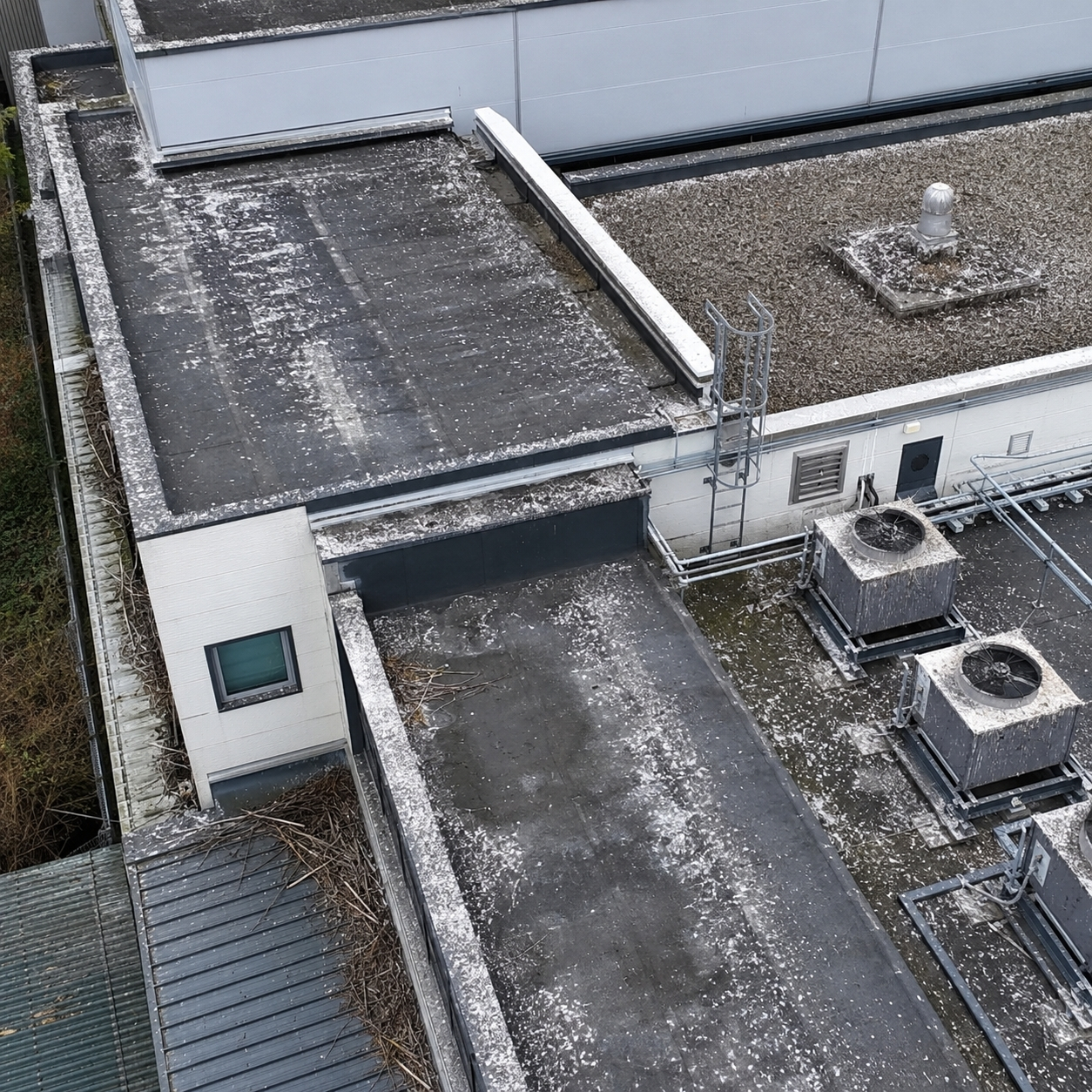 Professional drone capturing aerial imagery above a building
