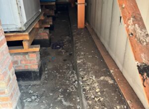 Bird droppings left by pigeons nesting inside a commercial unit, posing potential health risks to staff.