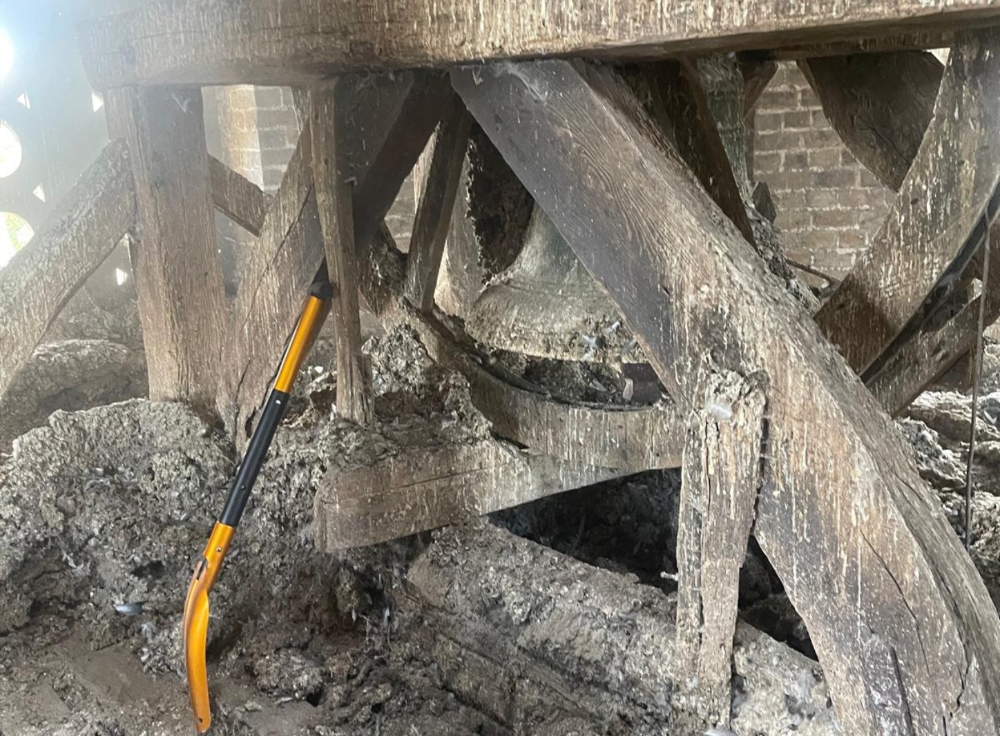 Guano cleaning job in listed premises. Large build up of waste which required proper cleaning, sanitation and disposal. Hawk left the premises clean and protected from future bird infestations.