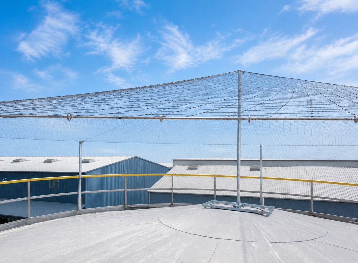 Bird proofing specialist installing a deterrent system on a building