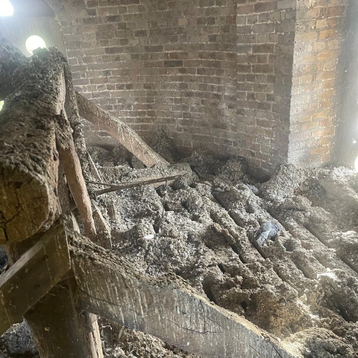 Specialist inspecting an area affected by bird guano